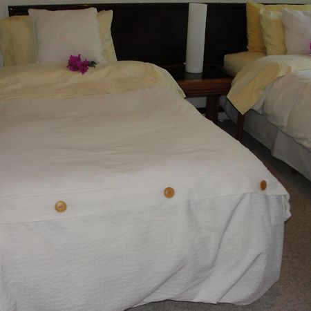 Steinhaus Suites Homero メキシコシティ エクステリア 写真