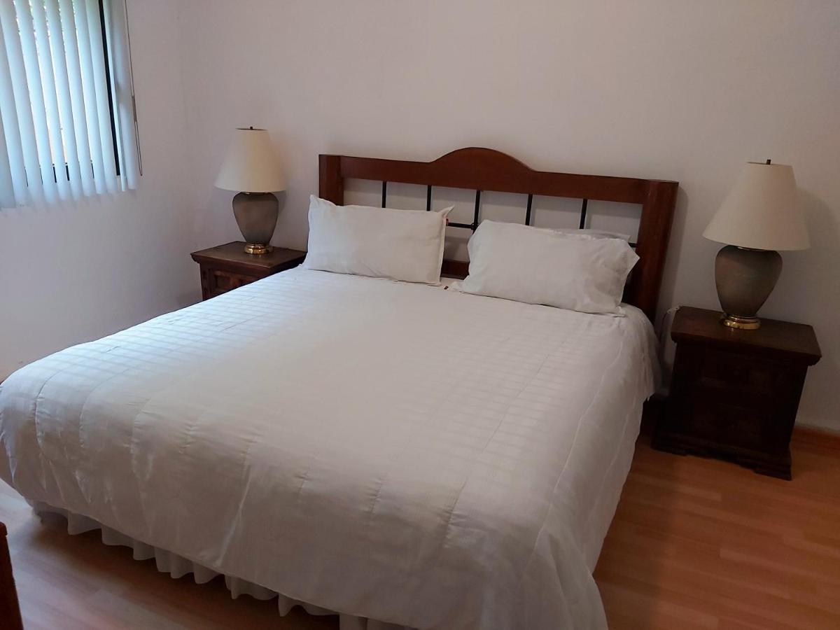 Steinhaus Suites Homero メキシコシティ エクステリア 写真