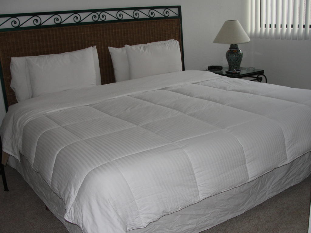 Steinhaus Suites Homero メキシコシティ エクステリア 写真