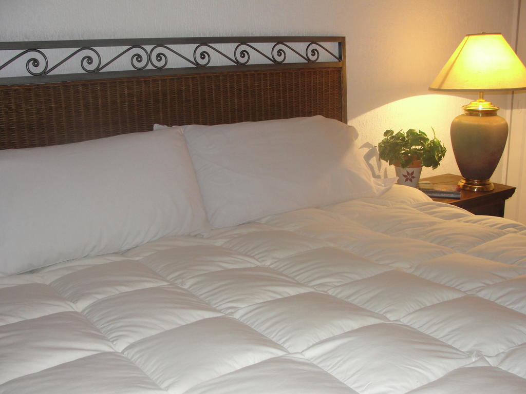 Steinhaus Suites Homero メキシコシティ エクステリア 写真