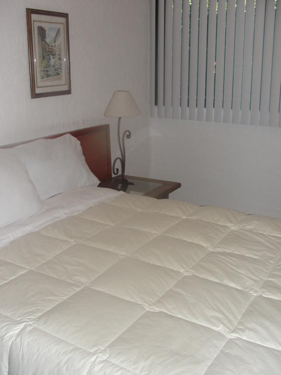 Steinhaus Suites Homero メキシコシティ エクステリア 写真